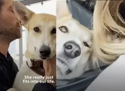 البريطانية صاحبة الكلبة "هارا" تخرج عن صمتها وتوضح حقيقة وفاتها